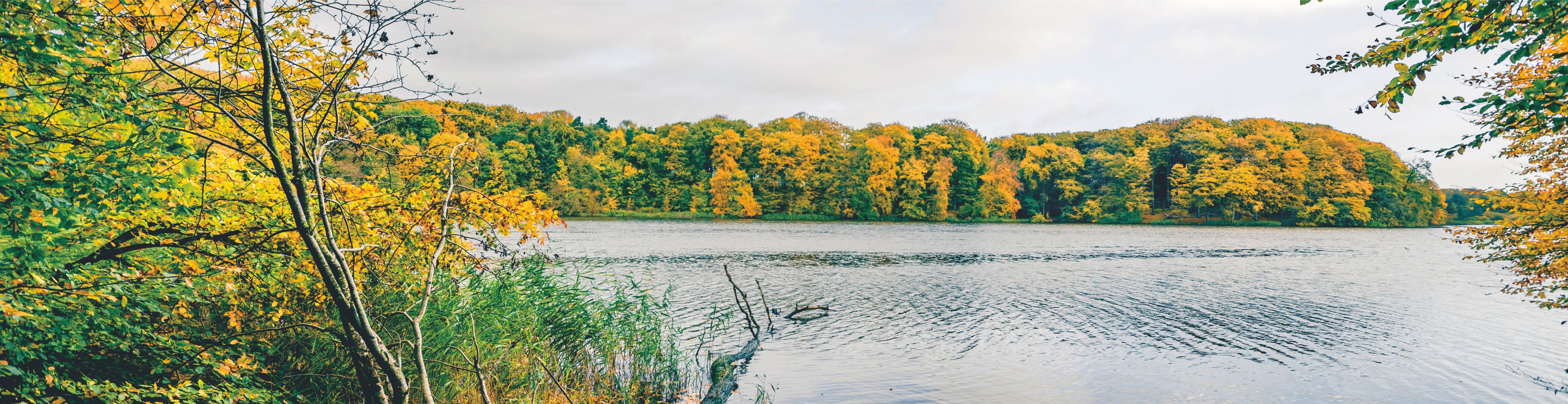 ��Ӯ��(VWIN)�ٷ���վ-AC�����ٷ��������