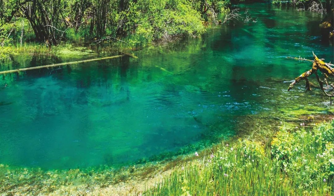 ��Ӯ��(VWIN)�ٷ���վ-AC�����ٷ��������