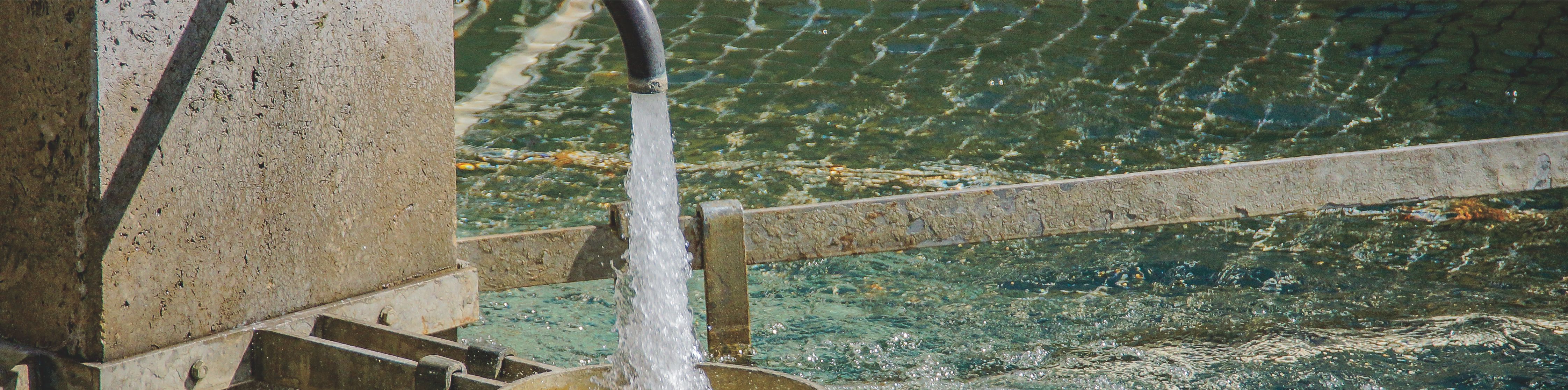 ��Ӯ��(VWIN)�ٷ���վ-AC�����ٷ��������